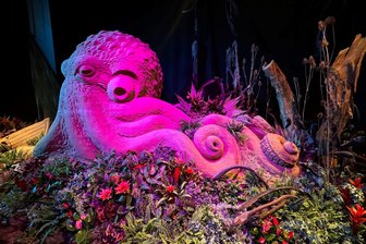 Blüten-Wunder und Illusionswelt in Oskarshausen schließen bald - 
