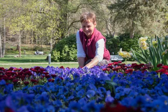 Blütenzauber im Vogtland: So kreativ und farbenfroh geht es in Bad Elster und Bad Brambach zu - Gartenbaumeisterin Elke Sternitzky von den Sächsischen Staatsbädern an einem der Beete in Bad Brambach.