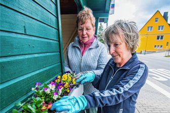 Blumen fürs Buswartehäuschen in Burkhardtsgrün - Karin Seidel (links) und Gudrun Weidlich vom Heimatverein haben jetzt Hornveilchen in die Kästen gesetzt.