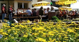 Blumen zeigen sich in schönster Pracht - 
              <p class="artikelinhalt">Eine gelbe Blütenpracht lockte in der Hohenfichtener Gärtnerei zum Verweilen. </p>
            