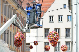 Blumengrüße in schwindelnder Höhe: Freiberg ist bereit für das nächste Frühlingswochenende - Über der Korngasse in Freiberg schweben jetzt bunte Blumen.
