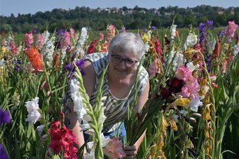 Blumenpflück-Wiesen rund um Zwickau: Da halten nicht nur die Frauen an - Blumenwiese am Schmelzbach in Wilkau-Haßlau – im Bild Kerstin Scheim aus Zwickau.