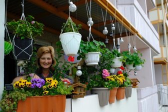 Blumenpracht auf dem Balkon springt ins Auge - Die Blütenpracht auf dem Balkon an der Andreas-Schubert-Straße.