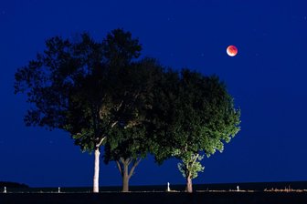 Blutmond lockt viele Schaulustige an: Die besten Fotos aus Hohenstein-Ernstthal und Umgebung - 