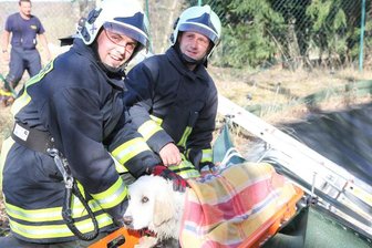 Bockau: Feuerwehr rettet Hund aus Klärbecken -