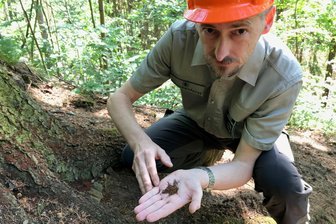 Böse Überraschung im Erzgebirge: Wenn Fichten plötzlich ihre Rinde verlieren - Revierleiter Thomas Köhler zeigt Bohrmehl am Stamm einer befallenen Fichte. Fällt viel Niederschlag, verwischen die Spuren.
