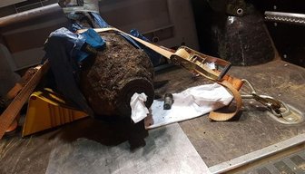 Bombenfund in Plauen: Entschärfung erfolgreich - 