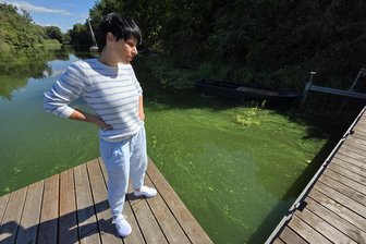 „Booster für Blaualgen“: Darum ist die Talsperre Pirk in diesem Jahr gekippt - Cassy Wettengel, Leiterin der Jugendherberge Taltitz, schaut am Bootssteg der Jugendherberge auf das mit Blaualgen belastete Wasser.