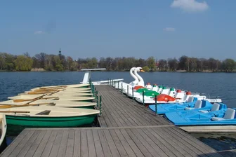 Bootssaison auf dem Schwanenteich Zwickau beginnt - Boote und die Zwickauer Wappentiere stehen zum Ablegen bereit.