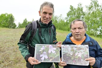 Botanische Sensation: Unbekannter Augentrost auf dem Grünen Band im Vogtland entdeckt - Thomas Findeis (links), der die Pflanze im vergangenen Jahr entdeckt hatte, und Botaniker Matthias Breitfeld aus Markneukirchen, der sie bestimmt hat.
