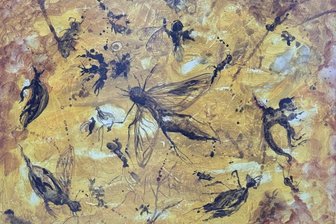Botanischer Garten Chemnitz: Ausstellung „Zeitfenster“ zeigt die Welt im Bernstein - Tanzfliegen, Langbeinfliegen, Schnepfenfliegen, Blattlauslarve und Springschwänze in Bernstein.