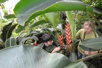 Botanischer Garten: Weihnachts-Basteln mit Naturmaterial -