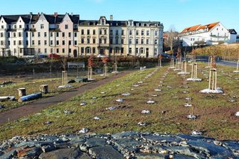 Brachfläche wird zu Grünanlage -