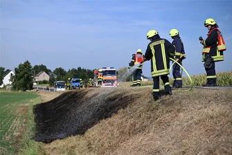 Brände bei großer Hitze: Feuerwehren in Seelitz und Erlau im Einsatz - An der Staatsstraße 250 bei Pürsten brannte ein Straßengraben.