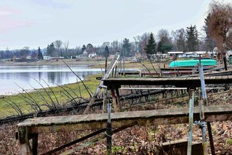 Brand auf Campingplatz an der Koberbachtalsperre in Werdau: Ursache steht fest - So sieht das hintere Zeltplatzgelände an der Talsperre derzeit aus.