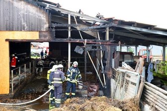 Brand in Kuhstall - 60 Rinder in Gefahr - 
