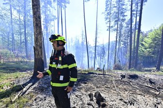 Brand nahe Sachsen nicht unter Kontrolle - Hoffen auf Regen - Ein Feuerwehrmann steht in einem Waldgebiet im Nationalpark Böhmische Schweiz. 