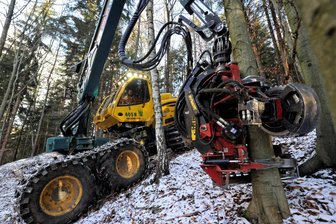 Brandanschlag im Wald: Vandalen zünden im Erzgebirge Holzerntemaschine an - Mit ihren Maschinen ist die Cunersdorfer Firma Hegenbarth überall im Erzgebirge im Einsatz – hier nahe der B 283 im Forstbezirk Eibenstock. Nun wurde ein Harvester des Unternehmens offenbar in Brand gesteckt.