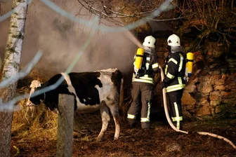 Brandserie in Frankenberg: Feuerwehrmann gesteht Brandstiftungen – und kommt ohne Prozess davon - Am 9. Januar 2023 brannten in Mühlbach Strohballen, gelagert zwischen zwei Ställen. 38 Rinder konnten gerettet werden.