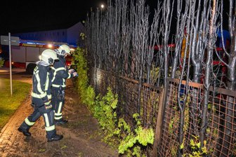 Brandsserie in Döbeln-Ost: Zwei Tatverdächtige auf frischer Tat festgesetzt - Mittwochnacht hatte eine Hecke in der Käthe-Kollwitz-Straße gebrannt.