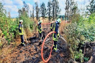 Brandstiftung in Wald bei Oberbobritzsch: Polizei ermittelt noch - Zu einem Waldbrand kam es am 2. August nahe Oberbobritzsch. Dabei handelte es sich um eine Brandstiftung. Mehrere Feuerwehren rückten aus. 