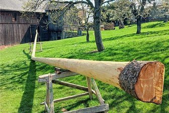 Brauchtum? Straftat? Wer hat Kleingeras Maibaum zersägt? - Wer macht denn so etwas? Der knapp 20 Meter lange Kleingeraer Maibaum ist durchgesägt worden. Jetzt ist guter Rat teuer.