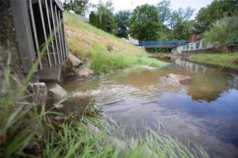 Braune Brühe, Gestank, tote Fische: Warum eine Havarie in Plauen erst mit Verspätung auffällt - In Altchrieschwitz ergießt sich Regenwasser durch den Schacht (links im Bild) in den Friesenbach. Zuletzt kam mit dem Wasser auch eine erhebliche Schadstofffracht.