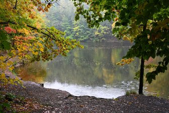 Brennpunkt Zeisigwald: Chemnitzer Angler nach eskalierter Kontrolle vor Gericht - Der Steinbruch im Chemnitzer Zeisigwald wird gern von Anglern genutzt. Nicht immer legal.