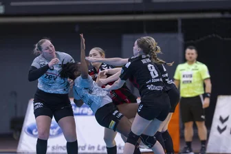 Brisante Unterlagen aufgetaucht? Finanzausschuss vertagt erneut Entscheidung über Hallenmiete für Handballerinnen des BSV Sachsen Zwickau - Die Handballerinnen tragen ihre Spiele in der Stadthalle aus und müssen Miete zahlen.