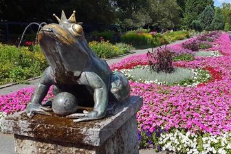 Bronze-Frosch sprudelt am Theresienstein - Er thront im Botanischen Garten Hof auf dem Rand eines Brunnens und ist zurzeit umgeben von üppigen Blüten.