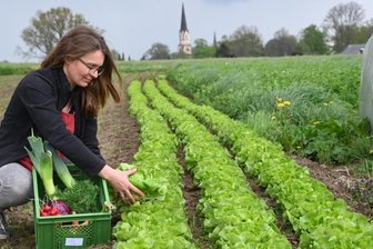 Brotstreit: Biohof verbannt Sonnenlaib - Yvonne Graunitz betreibt einen Bio-Landgarten in Burgstädt, hier bei der Ernte von Kopfsalat. 