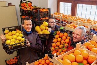 Brüder finden in Plauen neuen Verkaufsraum für Südfrüchte aus Sizilien - Jörg Grohmann, Markus Hossack und Arndt Grohmann (von links) bieten auch in diesem Jahr wieder in Plauen Zitrusfrüchte aus Sizilien an. Dank neuer Räume wird das Angebot ausgeweitet.