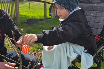 Bruno ist wieder zu Hause: So geht es dem kleinen Chemnitzer nach der Stammzelltransplantation - Bruno Müller ist nach der Stammzelltransplantation wieder zu Hause. Ostereier aufhängen im Garten war eine willkommene Abwechslung nach sieben Wochen Krankenhausalltag.