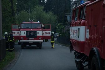 Brutkasten für Küken setzt Küche in Brand -