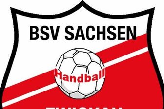 BSV Sachsen verlangt Tabellenführer alles ab - 