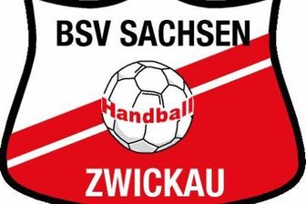 BSV Sachsen Zwickau erkämpft sich einen Punkt -