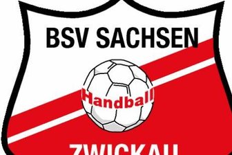 BSV Sachsen Zwickau kassiert Niederlage in Nürtingen -