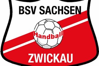 BSV Sachsen Zwickau verliert beim Tabellenführer -
