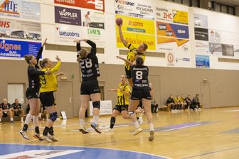 BSV Sachsen Zwickau zeigt eine Reaktion - 