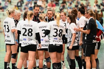 BSV-Trainer Rentsch: Überzeugt vom Weg und von seinem Team - Trainer Norman Rentsch (5. v. l.) versucht im Bundesligaspiel in Buxtehude in einer Auszeit, die richtigen Worte zu finden.