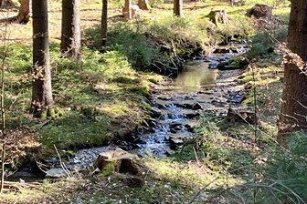 Buchautor nimmt Zuhörer mit auf eine Wasserwanderung durchs Erzgebirge - Viele kleine Bäche durchziehen das Erzgebirge, wie der Friedrichsbach bei Pöhla.