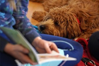Buchrallye und Klimaschutz: Leseabend für Schüler in Mittweida - Die Hochschule Mittweida, Fichte-Oberschule und Stadtbibliothek wollen am Donnerstagabend das Lesen fördern.