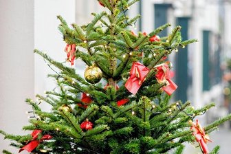 Budenzauber im Wild-West-Stil: Deutsch-amerikanischer Weihnachtsmarkt öffnet im Erzgebirge - Vorweihnachtliche Stimmung soll ab dem Wochenende auch im Siedlercamp in Geyer herrschen.