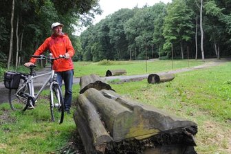 Bürger wollen Meeraner Stadtpark in Schuss bringen - Günter Schuster ist gern im Stadtpark mit dem Rad unterwegs. Um das Grün sorgen sich zunehmend Bürger, die Stadt hat wenig Geld.