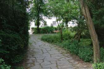 Bürgerbeteiligung: Pauluskirchplatz in Zwickau wird neu gestaltet - Der Pauluspark soll neu gestaltet werden.
