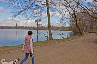 Bürgerhaushalt: Zwickau realisiert 13 Vorschläge - Am Schwanenteich soll die Beleuchtung ausgebaut werden. Dann können Spaziergänger jederzeit eine Runde am Wasser entlanggehen.