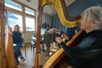 Bürgerstiftung Plauen unterstützt Vogtlandkonservatorium beim Harfenkauf mit 10.000 Euro - Das Harfenspiel wird in vielen Musikschulen gelehrt. Nun kann auch das Vogtlandkonservatorium ein solches Instrument erwerben.