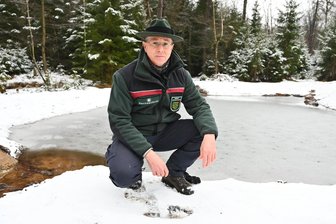 Bürgerwald Mittweida: Private Waldbesitzer wollen mit neuem Biotop Klimawandel etwas entgegensetzen - Revierleiter Steffen Kühn am neuen Feuchtbiotop im Bürgerwald bei Mittweida. Die Stelle liegt auf halben Weg zwischen Wasserkraftwerk und Staubecken.