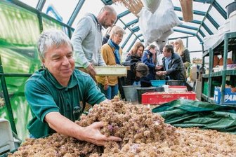 Bürgerzentrum: Tauschbörse für Pflanzen und Samen -