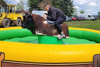Bullenreiten am Männertag: Gaudi am „Haasenwald“ in Ebersbrunn - Philip Schott hielt sich 43 Sekunden auf dem Bullen.